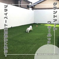 画像267