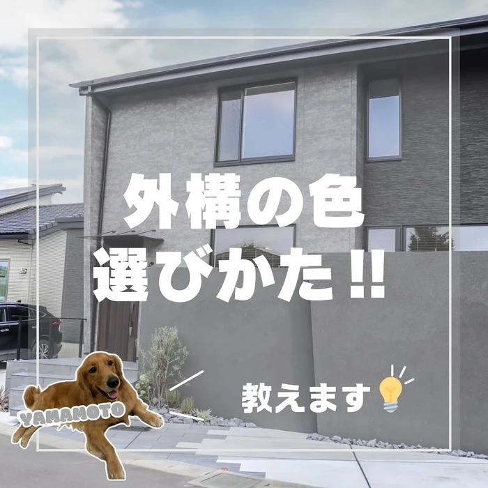 画像296