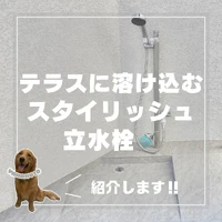 画像429