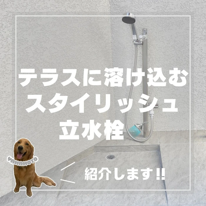 画像429