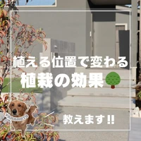 画像444