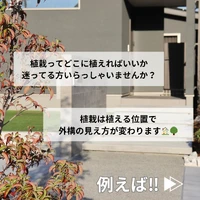 画像445