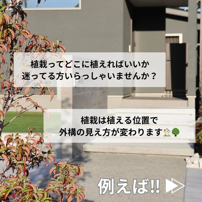 画像445
