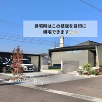 画像447