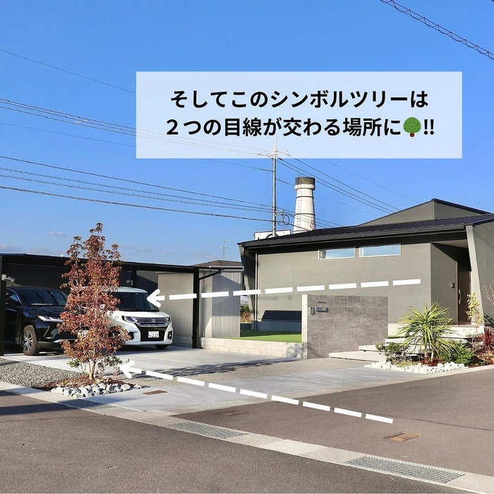 画像448