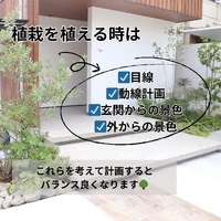 画像449
