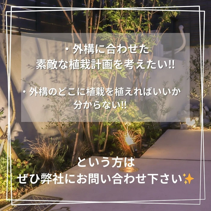 画像450