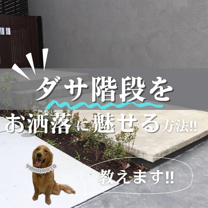 画像487