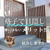 画像499