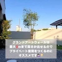 画像521