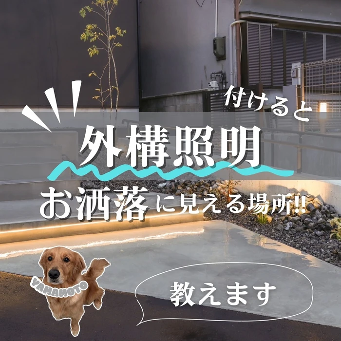 画像526