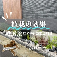 画像542