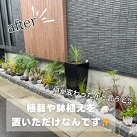 画像544