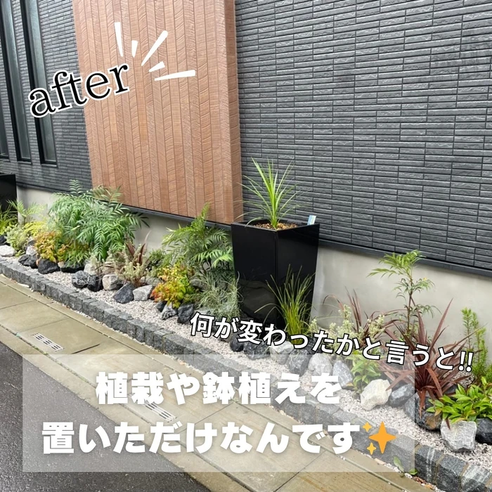 画像544