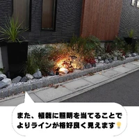 画像545