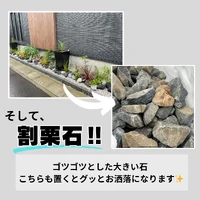 画像546