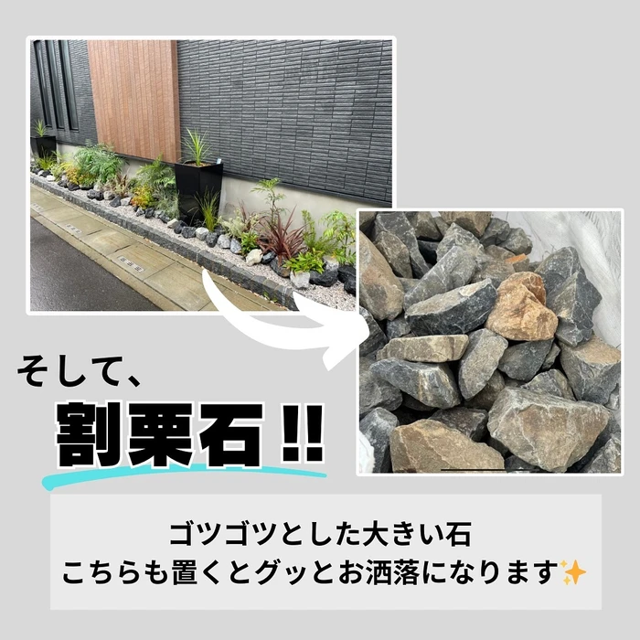 画像546