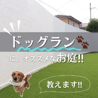 画像568
