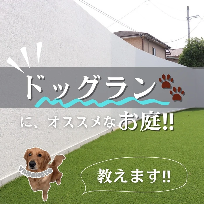 画像568