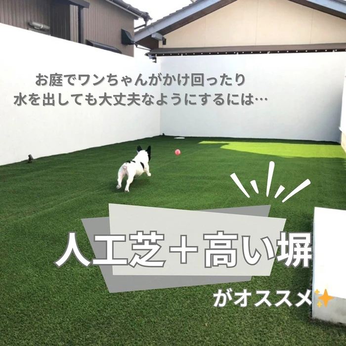画像569
