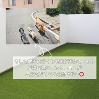 画像571